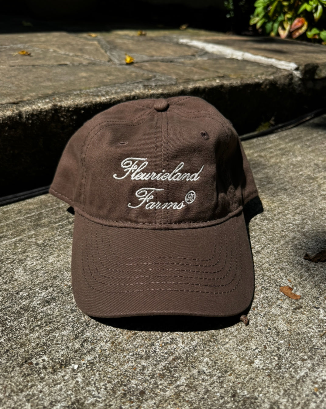 BROWN FLEURIELAND FARMS DAD HAT
